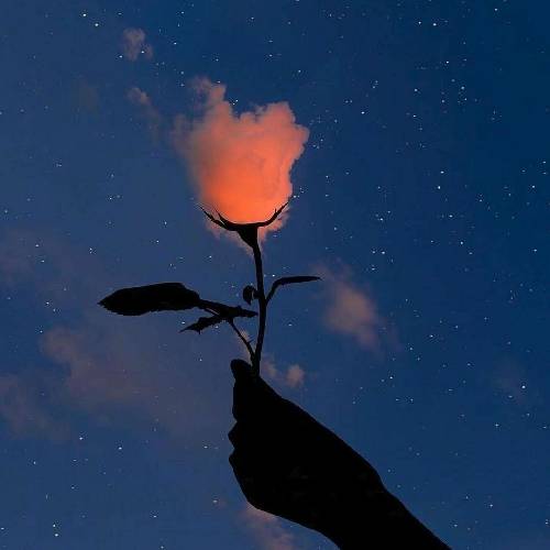  کش زیاده عین حاتمی بالام از زمان خاتمی تاسی هم میکنه